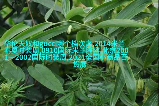 帕拉索领结毛衣及休闲长袜