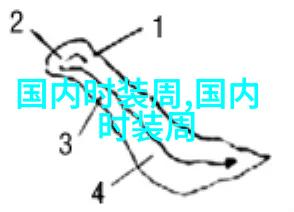 侧分叉