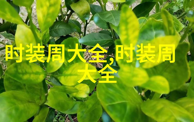 女生休闲运动装