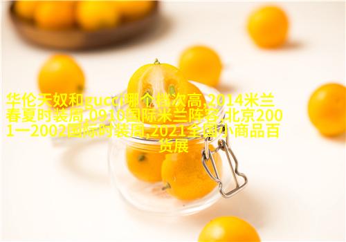白色的细纱半罩胸针领巾
